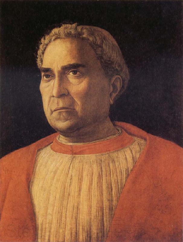 MANTEGNA, Andrea Portrait of  Cardinal Lodovico Trevisano France oil painting art